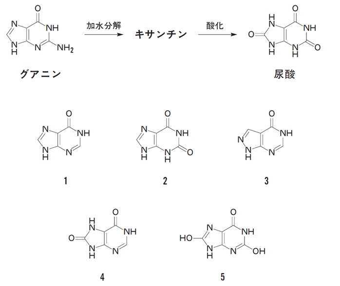 キサンチンの構造式として正しいのはどれか グアニン加水分解 102回薬剤師国家試験問105